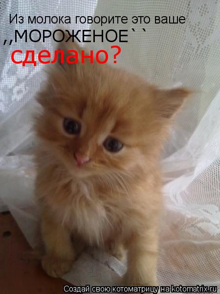 Из молока говорите это ваше ,,МОРОЖЕНОЕ`` сделано?... Котоматрица: Из молока говорите это ваше ,,МОРОЖЕНОЕ`` сделано?