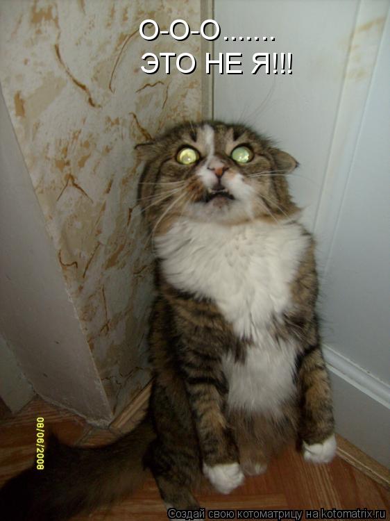 О-О-О....... ЭТО НЕ Я!!!... Котоматрица: О-О-О....... ЭТО НЕ Я!!!
