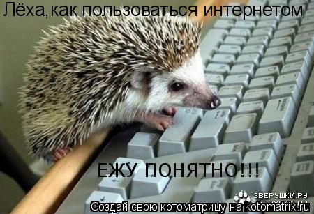 Лёха,как пользоваться интернетом ЕЖУ ПОНЯТНО!!!... Котоматрица: Лёха,как пользоваться интернетом ЕЖУ ПОНЯТНО!!!