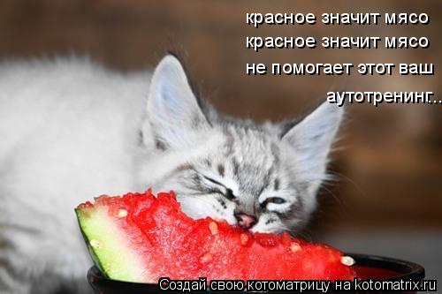 красное значит мясо красное значит мясо не помогает этот ваш аутотренинг ...... Котоматрица: красное значит мясо красное значит мясо не помогает этот ваш аутотренинг ...