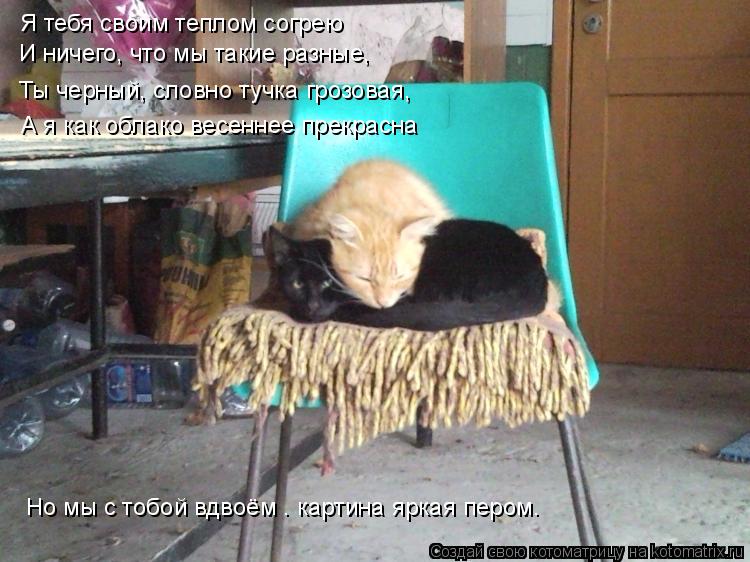 Я тебя своим теплом согрею И ничего, что мы такие разные, Ты черный, словно тучка грозовая, А я как о... Котоматрица: Я тебя своим теплом согрею И ничего, что мы такие разные, Ты черный, словно тучка грозовая, А я как облако весеннее прекрасна Но мы с тобой вд