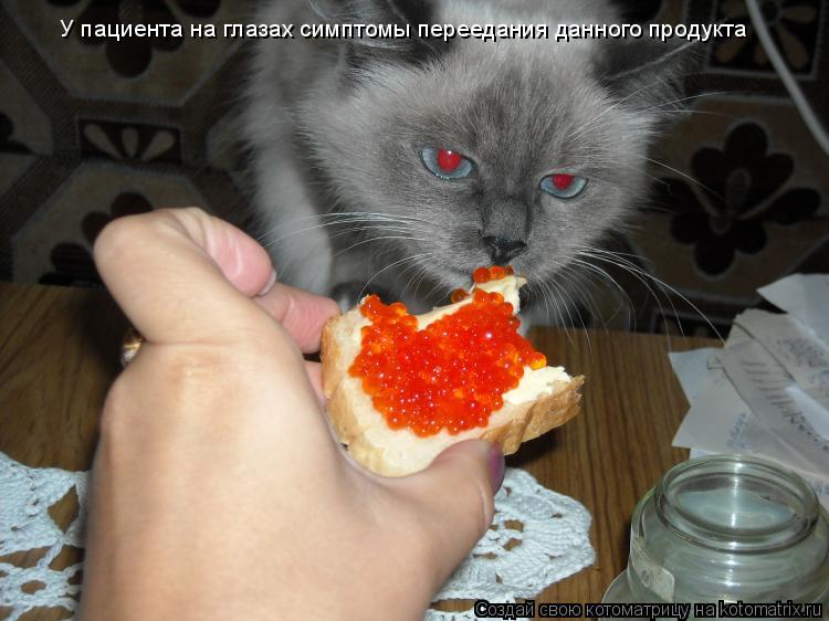 У пациента на глазах симптомы переедания данного продукта... Котоматрица: У пациента на глазах симптомы переедания данного продукта