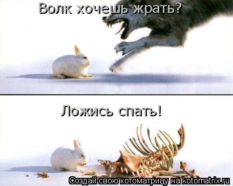 Волк хочешь жрать? Волк хочешь жрать? Ложись спать! Ложись спать!... Котоматрица: Волк хочешь жрать? Волк хочешь жрать? Ложись спать! Ложись спать!