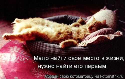 Мало найти свое место в жизни, нужно найти его первым!... Котоматрица: Мало найти свое место в жизни, нужно найти его первым!