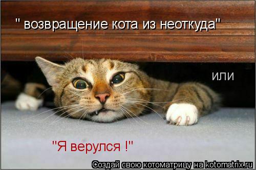 " возвращение кота из неоткуда" или "Я верулся !"... Котоматрица: " возвращение кота из неоткуда" или "Я верулся !"