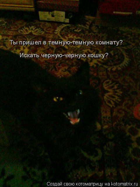Ты пришел в темную-темную комнату? Искать черную-черную кошку?... Котоматрица: Ты пришел в темную-темную комнату? Искать черную-черную кошку?
