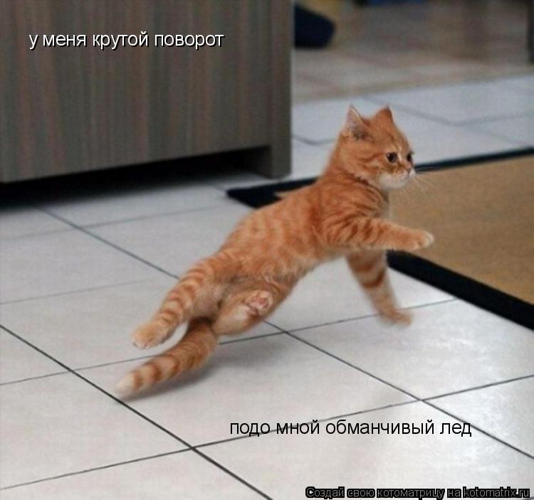 у меня крутой поворот подо мной обманчивый лед... Котоматрица: у меня крутой поворот подо мной обманчивый лед