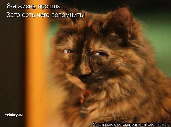 8-я жизнь прошла... Зато есть чего вспомнить!... Котоматрица: 8-я жизнь прошла... Зато есть чего вспомнить!
