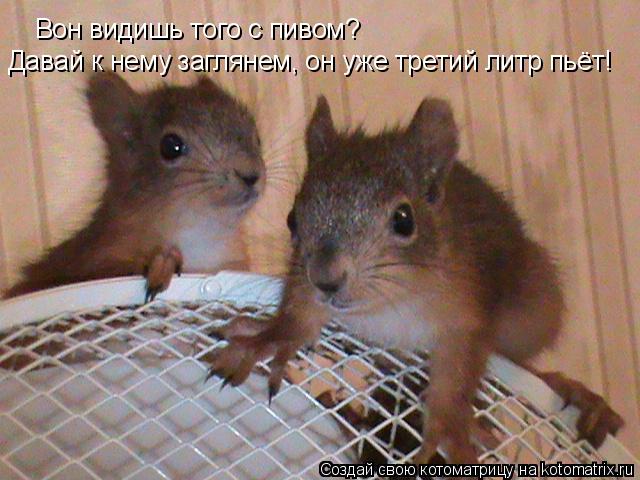 Вон видишь того с пивом? Давай к нему заглянем, он уже третий литр пьёт!... Котоматрица: Вон видишь того с пивом? Давай к нему заглянем, он уже третий литр пьёт!