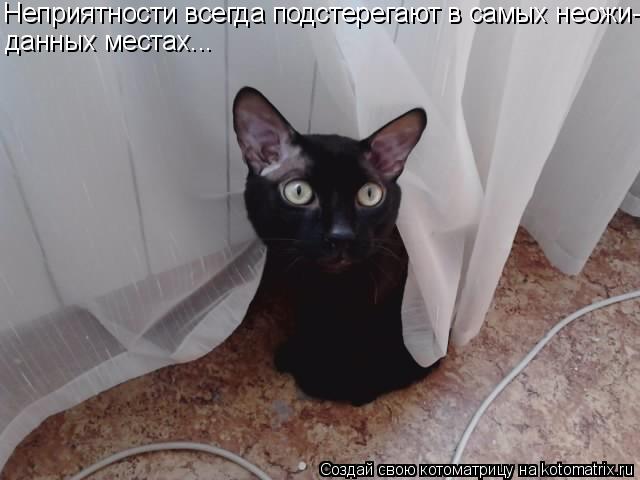 Неприятности всегда подстерегают в самых неожи- данных местах...... Котоматрица: Неприятности всегда подстерегают в самых неожи- данных местах...