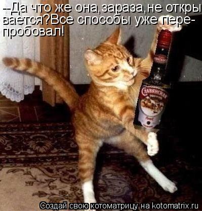 --Да что же она,зараза,не откры- вается?Все способы уже пере- пробовал!... Котоматрица: --Да что же она,зараза,не откры- вается?Все способы уже пере- пробовал!