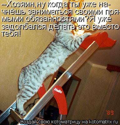 --Хозяин,ну когда ты уже на- чнёшь заниматься своими пря- мыми обязанностями?Я уже задолбался делать ... Котоматрица: --Хозяин,ну когда ты уже на- чнёшь заниматься своими пря- мыми обязанностями?Я уже задолбался делать это вместо тебя!