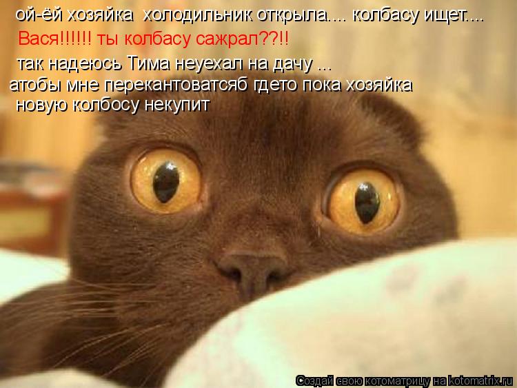 ой-ёй хозяйка холодильник открыла.... колбасу ищет.... Вася!!!!!! ты колбасу сажрал??!! так надеюсь ... Котоматрица: ой-ёй хозяйка холодильник открыла.... колбасу ищет.... Вася!!!!!! ты колбасу сажрал??!! так надеюсь Тима неуехал на дачу ... атобы мне перекантоват