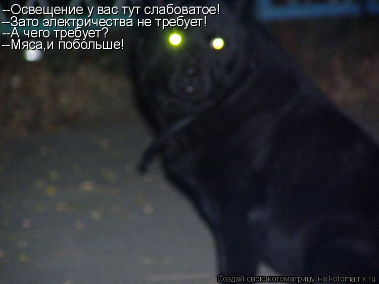 --Освещение у вас тут слабоватое! --Зато электричества не требует! --А чего требует? --Мяса,и побольш... Котоматрица: --Освещение у вас тут слабоватое! --Зато электричества не требует! --А чего требует? --Мяса,и побольше!