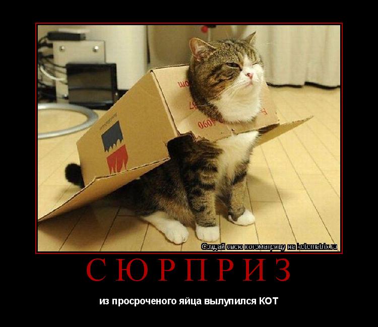 Котоматрица: СЮРПРИЗ из просроченого яйца вылупился КОТ