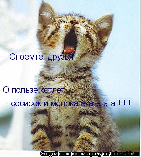 Котоматрица: Споемте, друзья! О пользе котлет,  сосисок и молока-а-а-а-а-а!!!!!!!