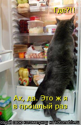 Котоматрица: Ах, да. Это ж я  в прошлый раз Где?!!