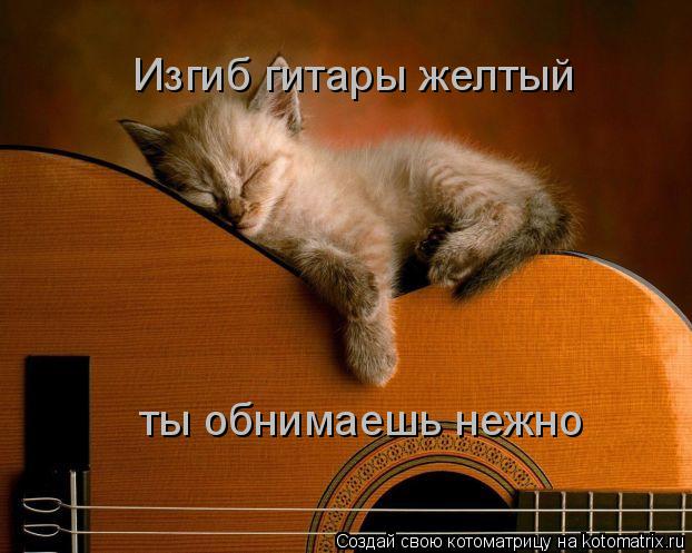 Котоматрица: Изгиб гитары желтый ты обнимаешь нежно