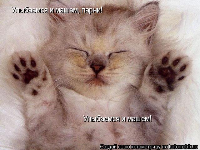 Котоматрица: Улыбаемся и машем, парни!  Улыбаемся и машем!