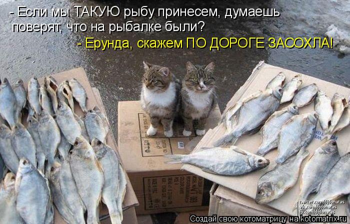 Котоматрица: - Если мы ТАКУЮ рыбу принесем, думаешь поверят, что на рыбалке были? - Ерунда, скажем ПО ДОРОГЕ ЗАСОХЛА!