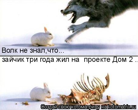 Котоматрица: Волк не знал,что... зайчик три года жил на  проекте Дом 2 .....