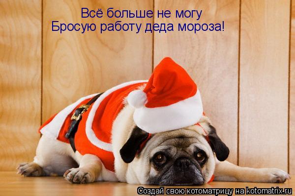 Котоматрица: Всё больше не могу Бросую работу деда мороза!