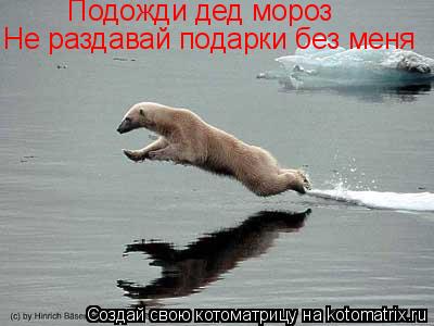 Котоматрица: Подожди дед мороз Не раздавай подарки без меня
