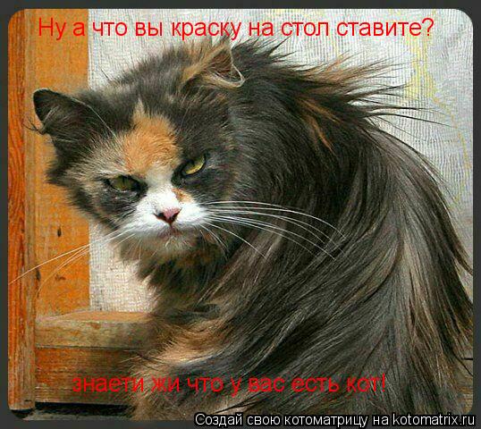 Котоматрица: Ну а что вы краску на стол ставите? знаети жи что у вас есть кот!