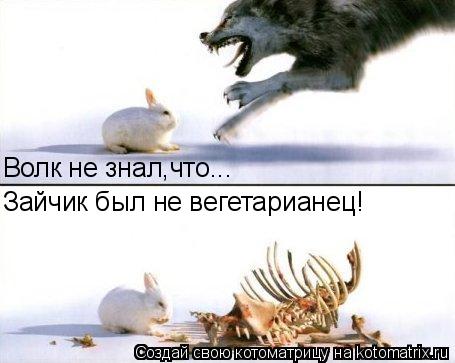Котоматрица: Волк не знал,что... Зайчик был не вегетарианец!