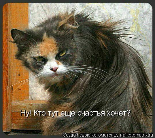 Котоматрица: Ну! Кто тут еще счастья хочет?