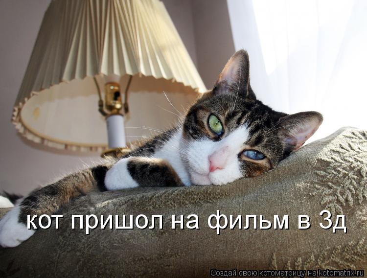 Котоматрица: кот пришол на фильм в 3д