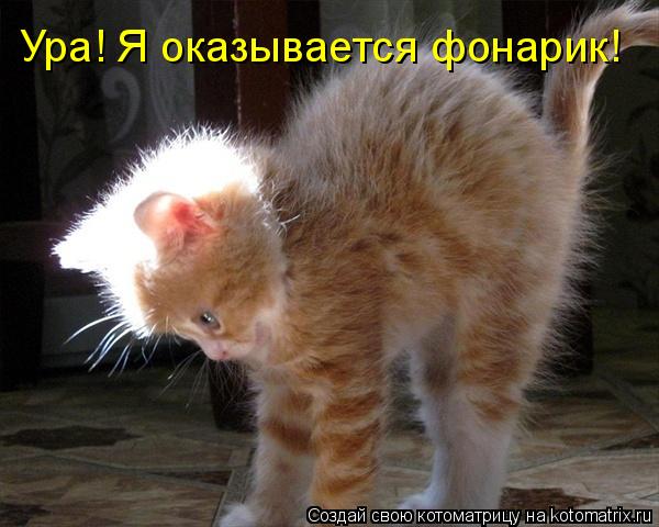 Котоматрица: Ура! Я оказывается фонарик!