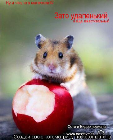 Котоматрица: Ну и что, что маленький? Зато удаленький. а еще, вместительный