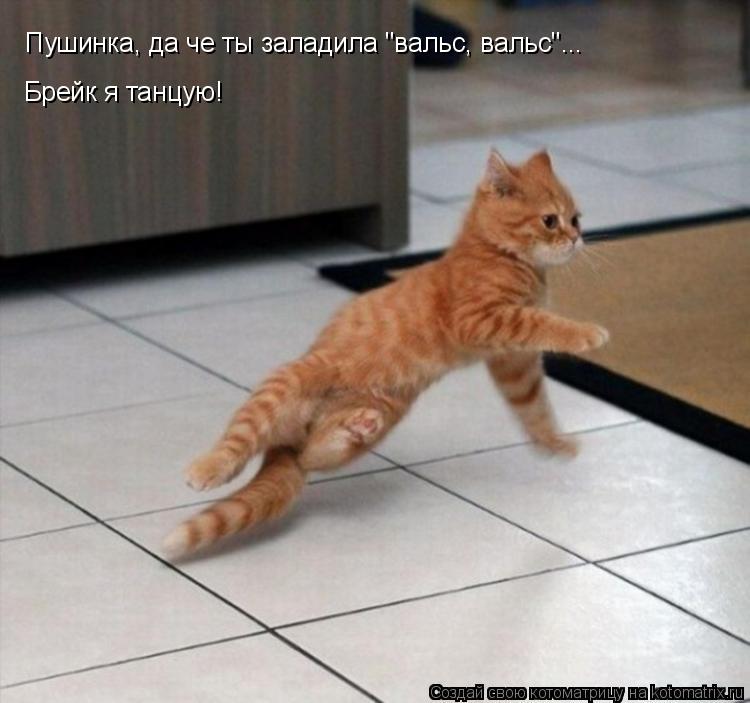 Котоматрица: Пушинка, да че ты заладила "вальс, вальс"... Брейк я танцую!