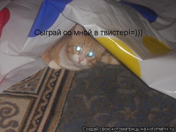 Котоматрица: Сыграй со мной,в твистер!=)))