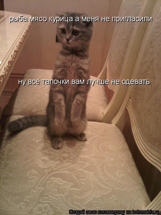 Котоматрица: рыба мясо курица а меня не пригласили ну всё тапочки вам лучше не одевать