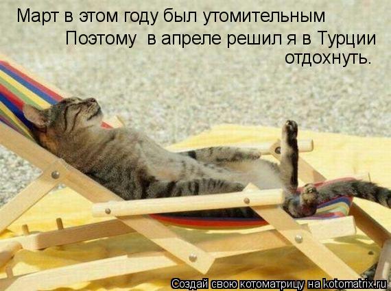 Март в этом году был утомительным Поэтому в апреле решил я в Турции отдохнуть.... Котоматрица: Март в этом году был утомительным Поэтому в апреле решил я в Турции отдохнуть.