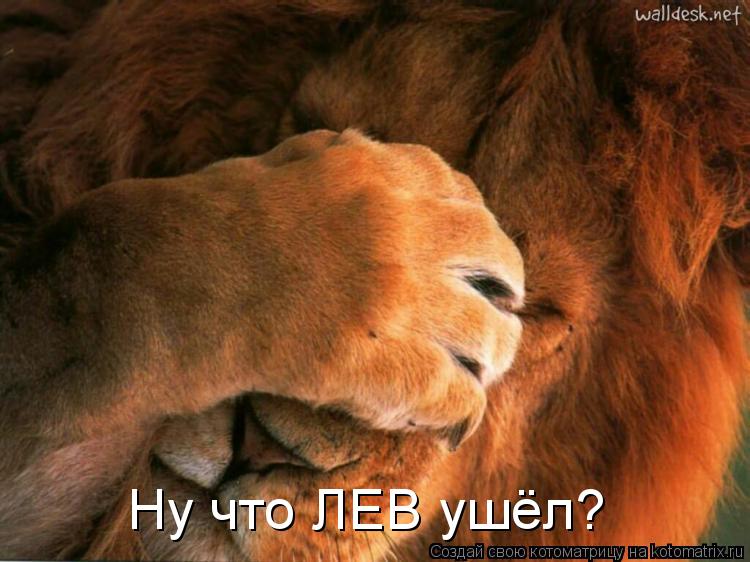 Ну что ЛЕВ ушёл?... Котоматрица: Ну что ЛЕВ ушёл?