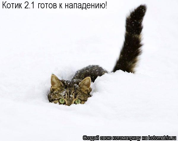Котик 2.1 готов к нападению!... Котоматрица: Котик 2.1 готов к нападению!