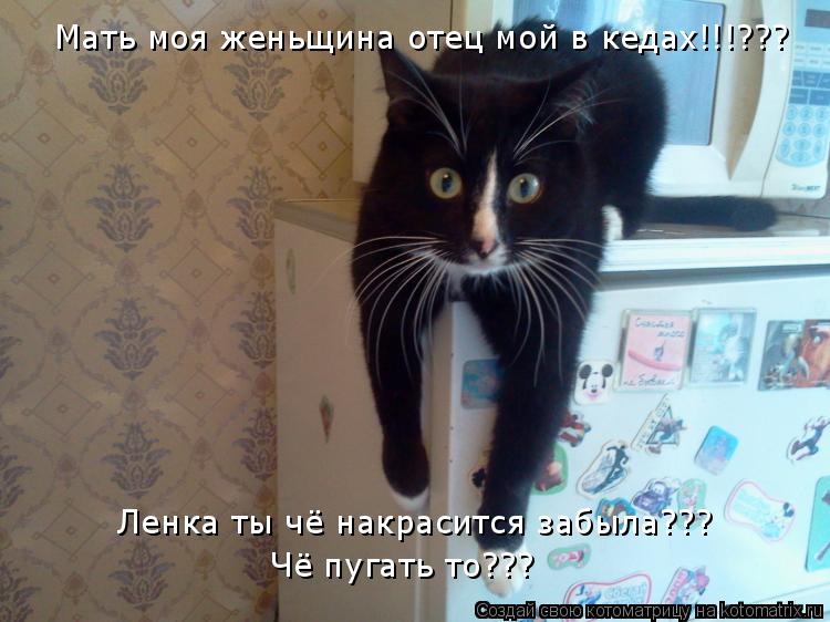 Котоматрица: Мать моя женьщина отец мой в кедах!!!??? Ленка ты чё накрасится забыла??? Чё пугать то???