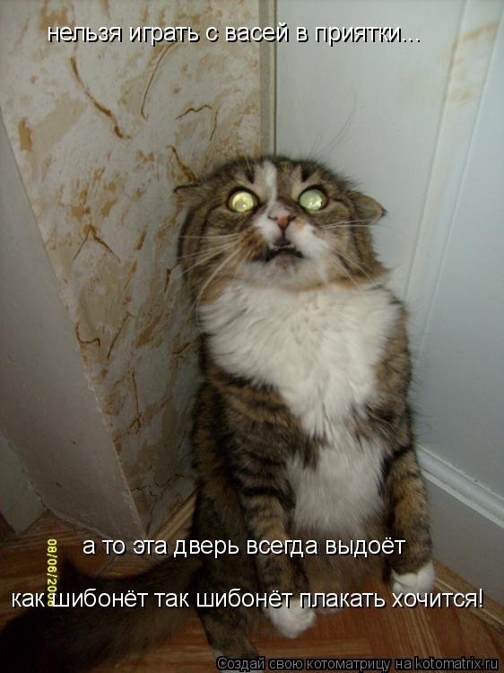 Котоматрица: нельзя играть с васей в приятки... а то эта дверь всегда выдоёт  как шибонёт так шибонёт плакать хочится!