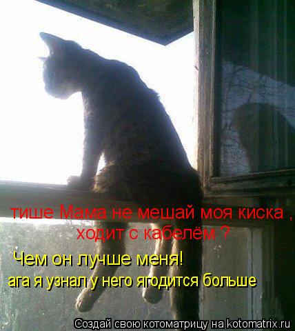 Котоматрица: тише Мама не мешай моя киска ходит с кабелём забавно! тише Мама не мешай моя киска , ходит с кабелём ?  Чем он лучше меня! ага я узнал у него яго