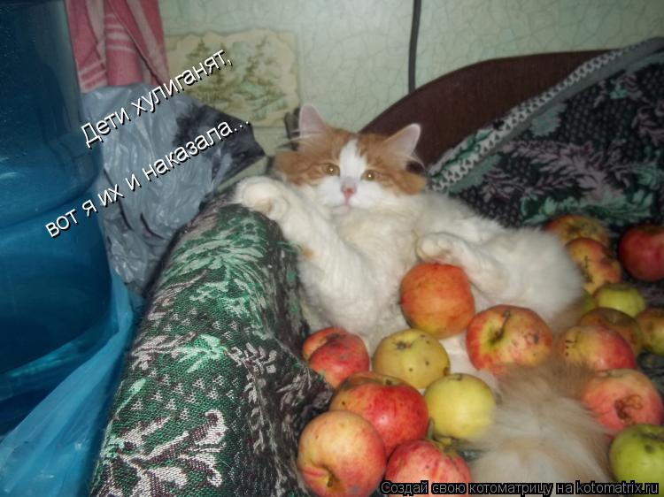 Котоматрица: Дети хулиганят,  вот я их и наказала...