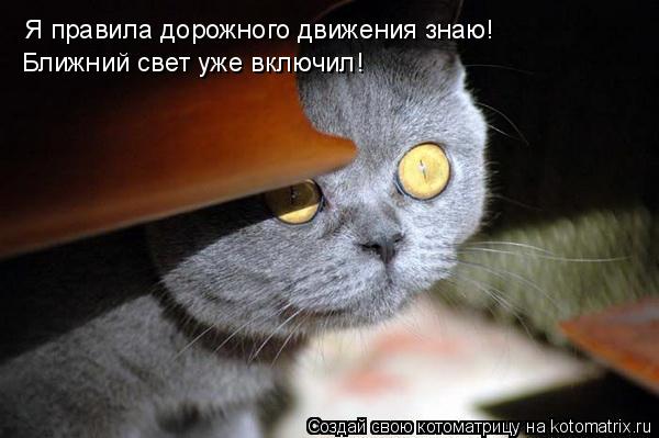 Котоматрица: Я правила дорожного движения знаю! Ближний свет уже включил!