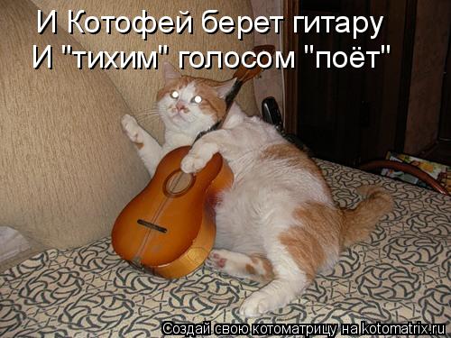 Котоматрица: И Котофей берет гитару И "тихим" голосом "поёт"
