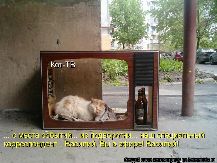 Кот-ТВ ... с места событий... из подворотни... наш специальный корреспондент... Василий, Вы в эфире! ... Котоматрица: Кот-ТВ ... с места событий... из подворотни... наш специальный корреспондент... Василий, Вы в эфире! Василий!