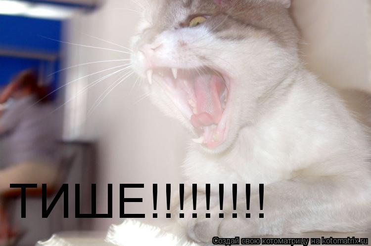 Котоматрица: ТИШЕ!!!!!!!!!