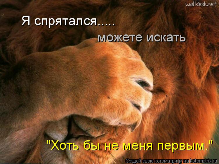 Я спрятался..... можете искать "Хоть бы не меня первым."... Котоматрица: Я спрятался..... можете искать "Хоть бы не меня первым."