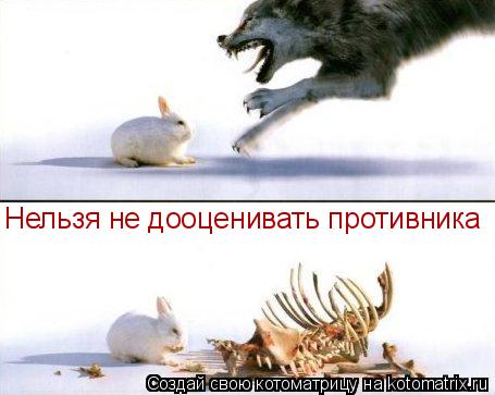 Котоматрица: Нельзя не дооценивать противника