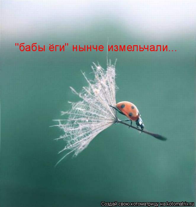 Котоматрица: "бабы еги" нынче измельчали... ..